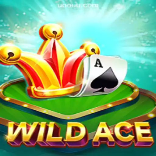 WildAce: A Pioneer in Casino Entertainment